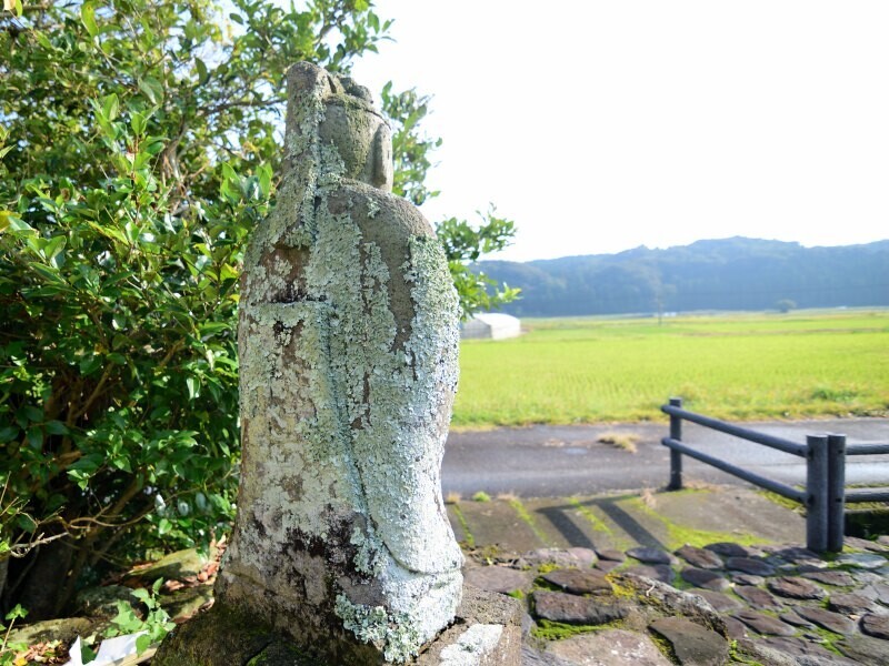 元養母の田の神