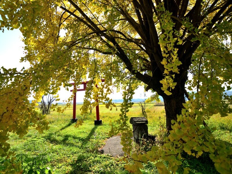 豊留の早馬神社