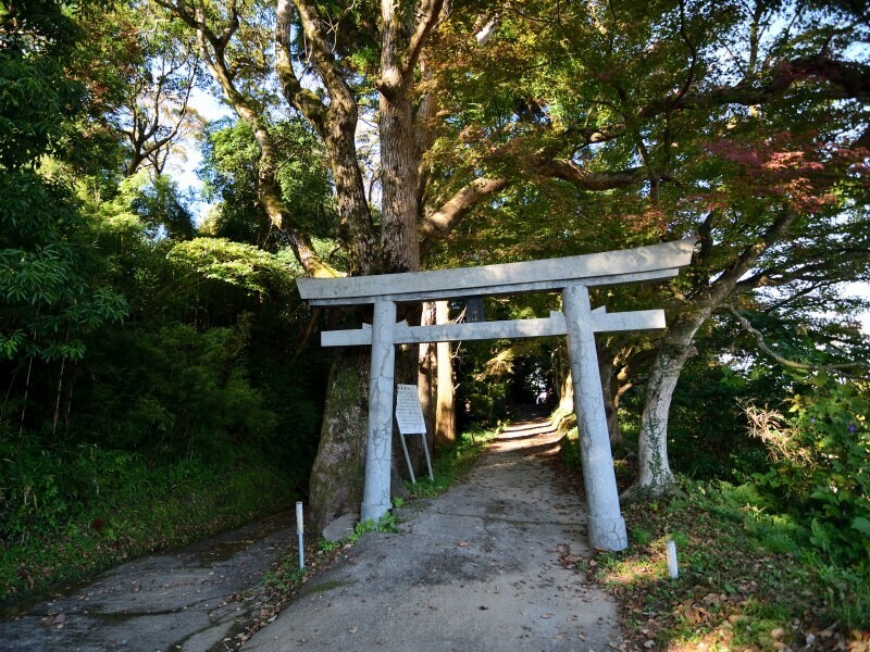 鳥居から参道へ