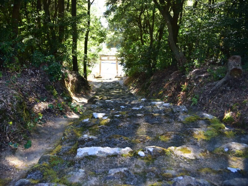 鶴ヶ岡八幡神社