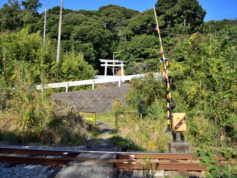 鶴ヶ岡八幡神社