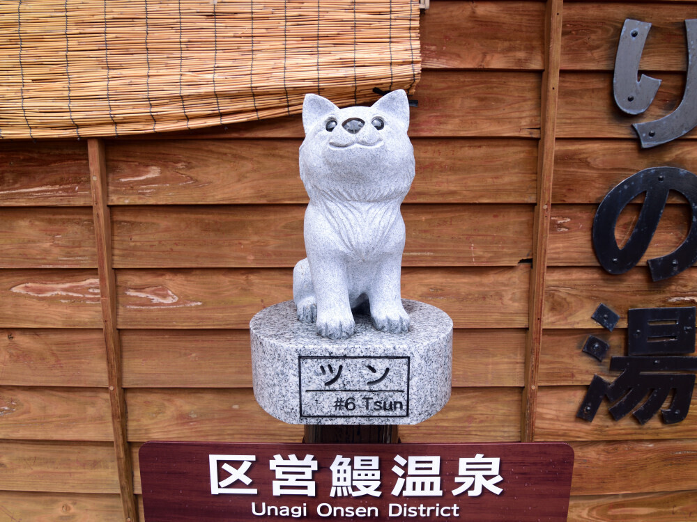 区営鰻温泉の前に犬