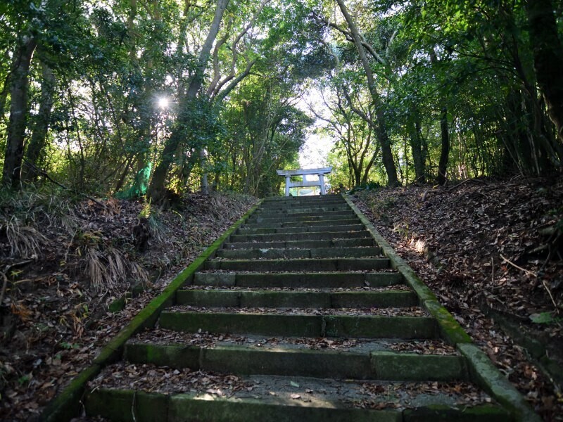 御霊神社の参道