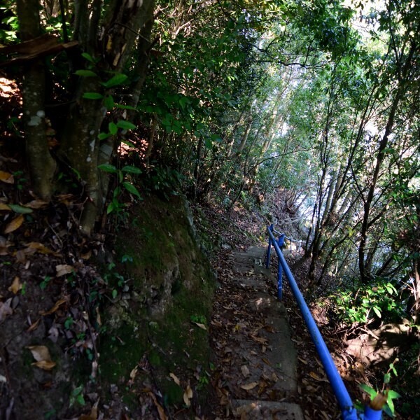 小野神社