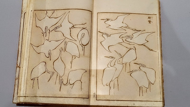 ぜんぶ、北斎のしわざでした展」に行った。 - ≪手を動かさねばっ！≫