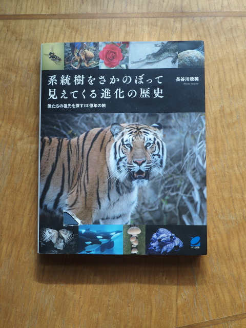 長谷川政美『系統樹をさかのぼって見えてくる進化の歴史』