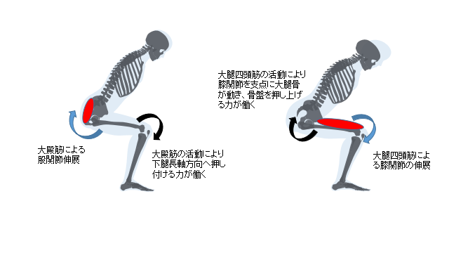 f:id:fuji-riha:20190909213009p:plain f:id:fuji-riha:20190909213009p:plain