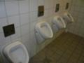 Toilet in Germany