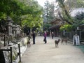 20110624052249