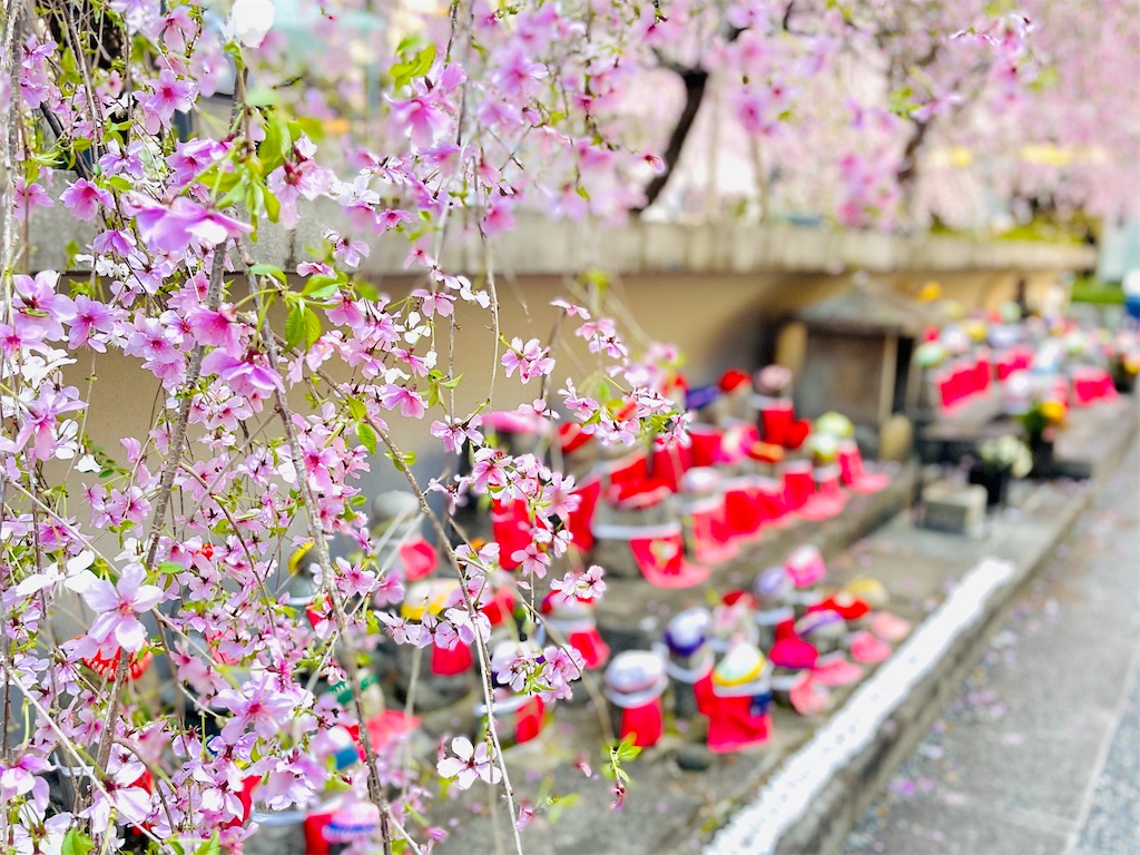 f:id:fuji_hiron:20240401212436j:image f:id:fuji_hiron:20240401212436j:image