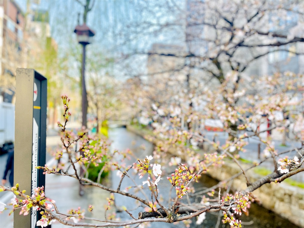 f:id:fuji_hiron:20240401212443j:image f:id:fuji_hiron:20240401212443j:image