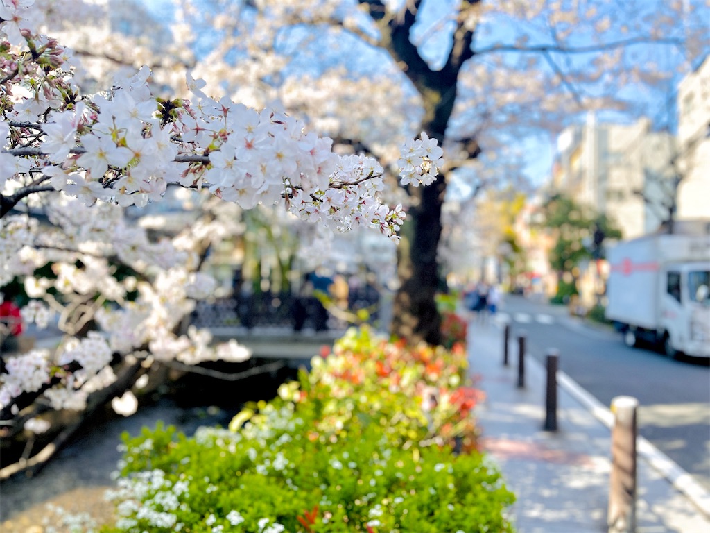 f:id:fuji_hiron:20240401212457j:image f:id:fuji_hiron:20240401212457j:image