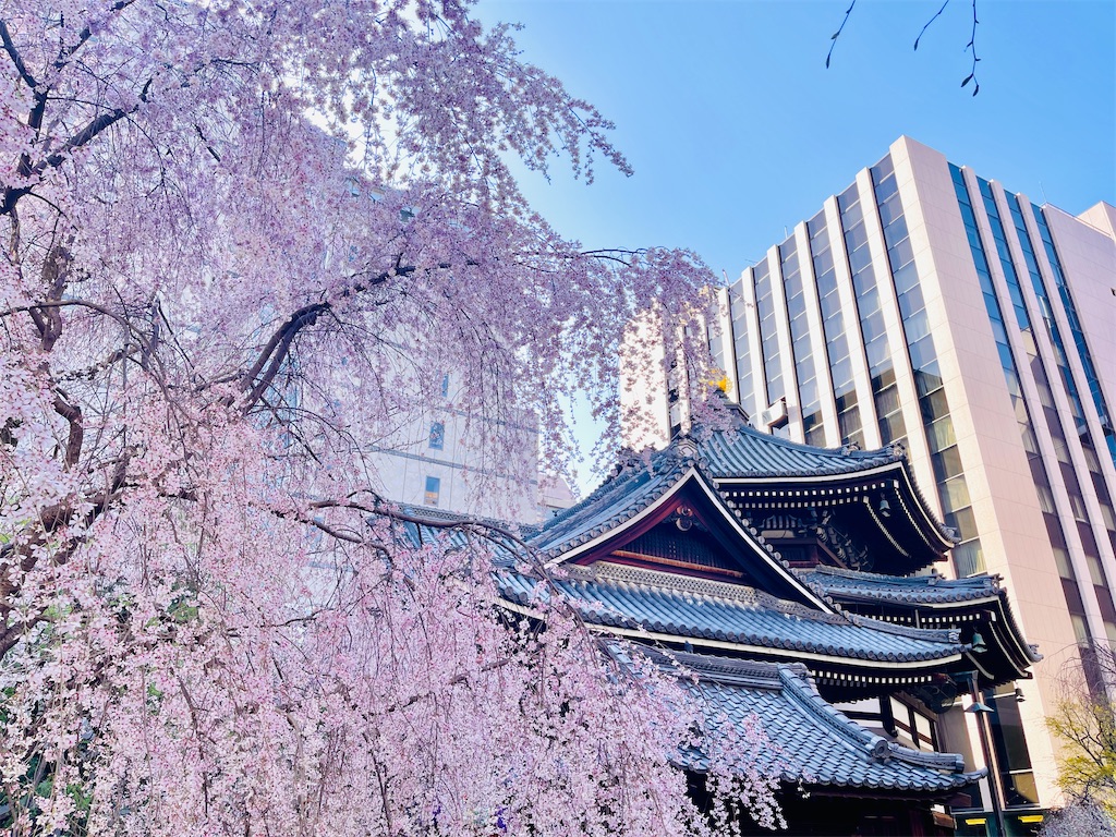 f:id:fuji_hiron:20240401212500j:image f:id:fuji_hiron:20240401212500j:image