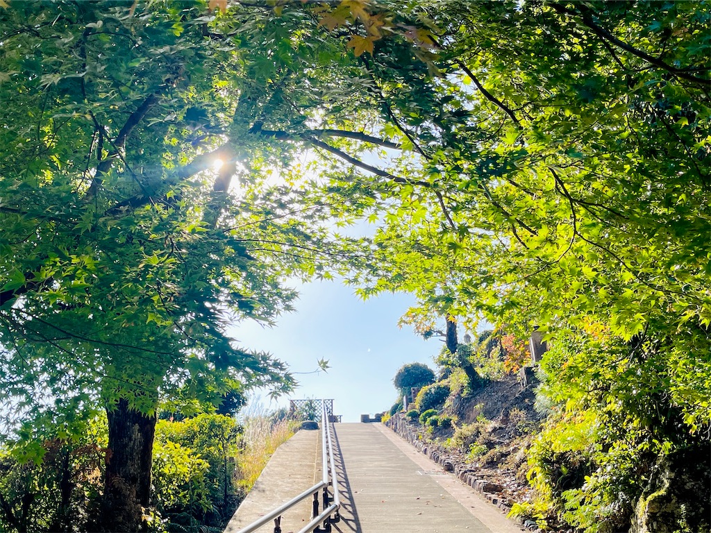 f:id:fuji_hiron:20241113205156j:image f:id:fuji_hiron:20241113205156j:image