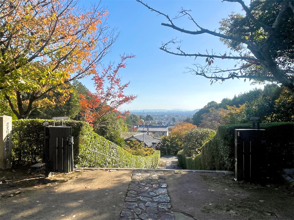 f:id:fuji_hiron:20241113205200j:image f:id:fuji_hiron:20241113205200j:image