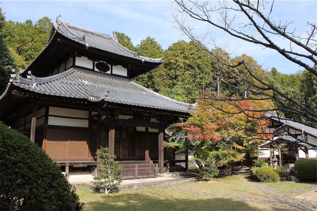 f:id:fuji_hiron:20241113205241j:image f:id:fuji_hiron:20241113205241j:image