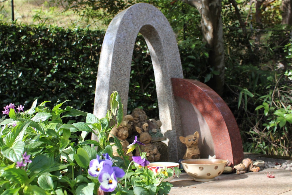 f:id:fuji_hiron:20241113205244j:image f:id:fuji_hiron:20241113205244j:image