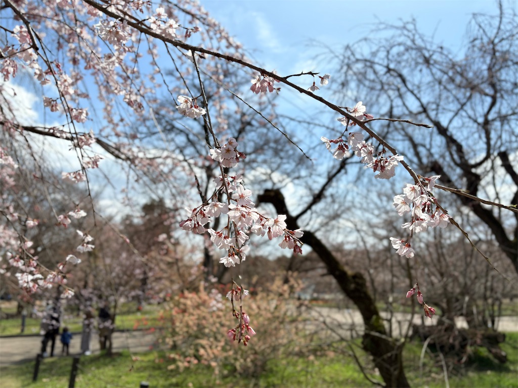 f:id:fuji_hiron:20250330213911j:image