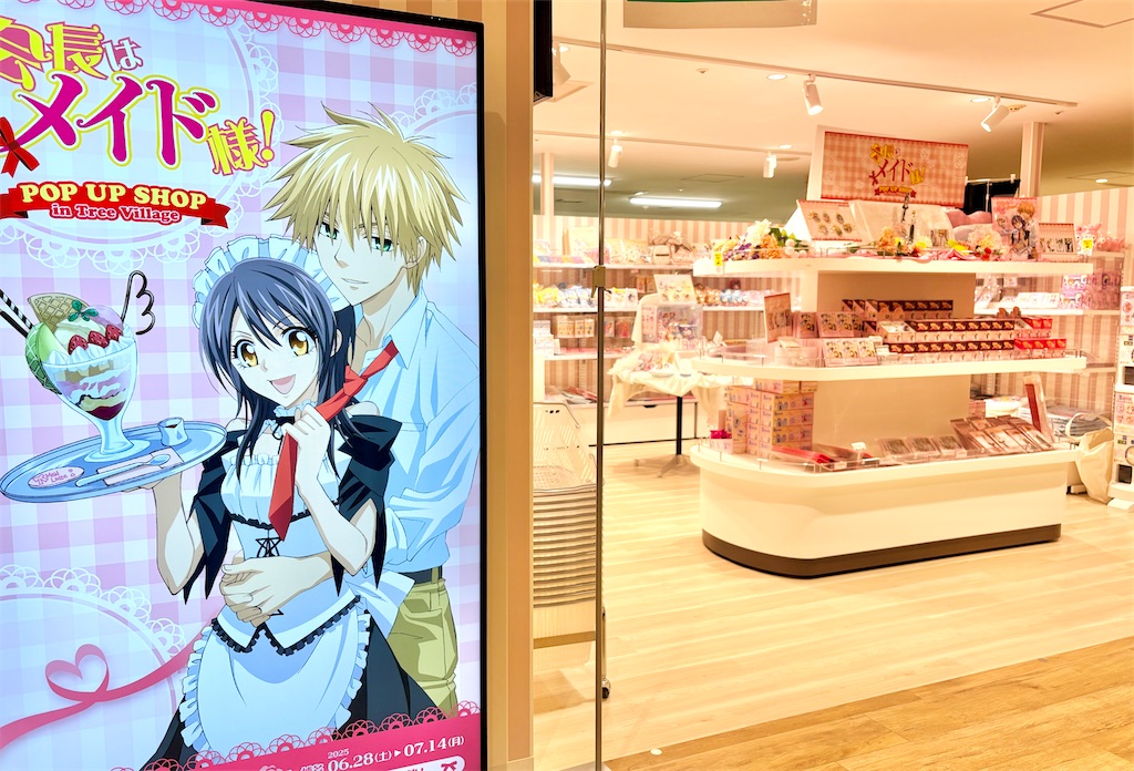 f:id:fuji_hiron:20250609154047j:image