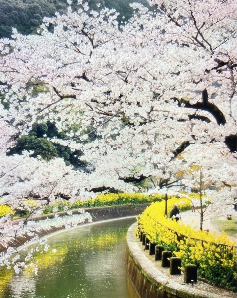 f:id:fujibaka:20220423131050j:image