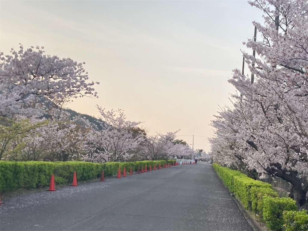 f:id:fujibaka:20220505061154j:image