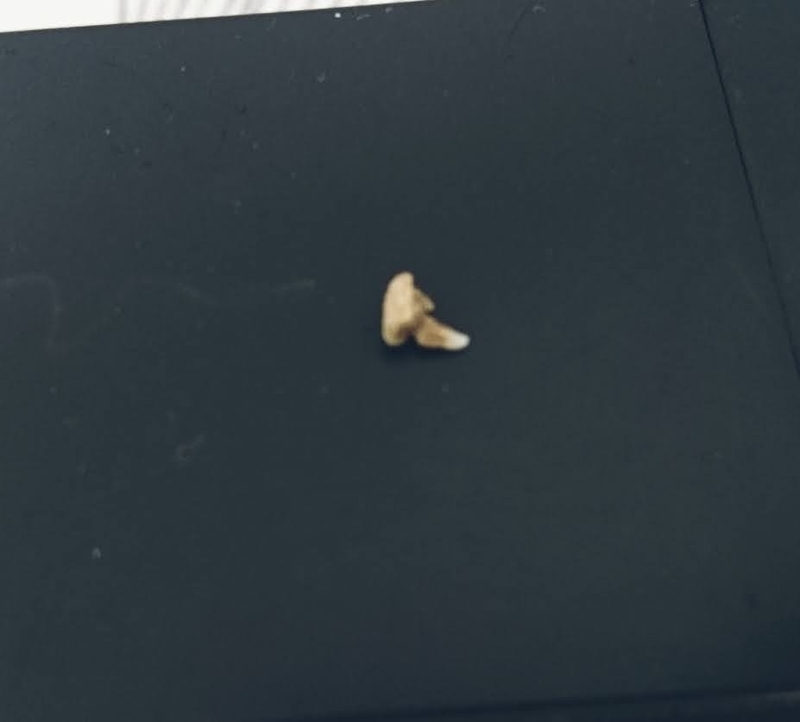 f:id:fujibiyori40:20210311153405j:plain