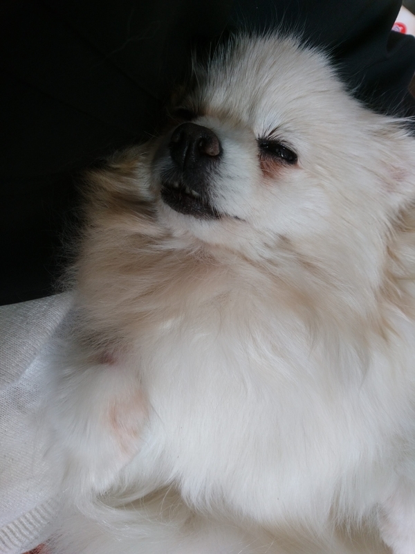 f:id:fujibiyori40:20210311160410j:plain