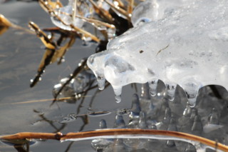 20110121110031