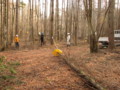 20111214140431