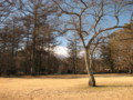 20120105110104