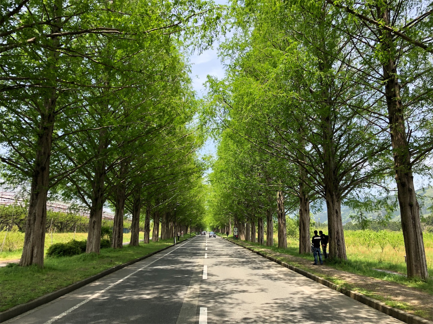 f:id:fujihirokun:20190505175012j:image f:id:fujihirokun:20190505175012j:image