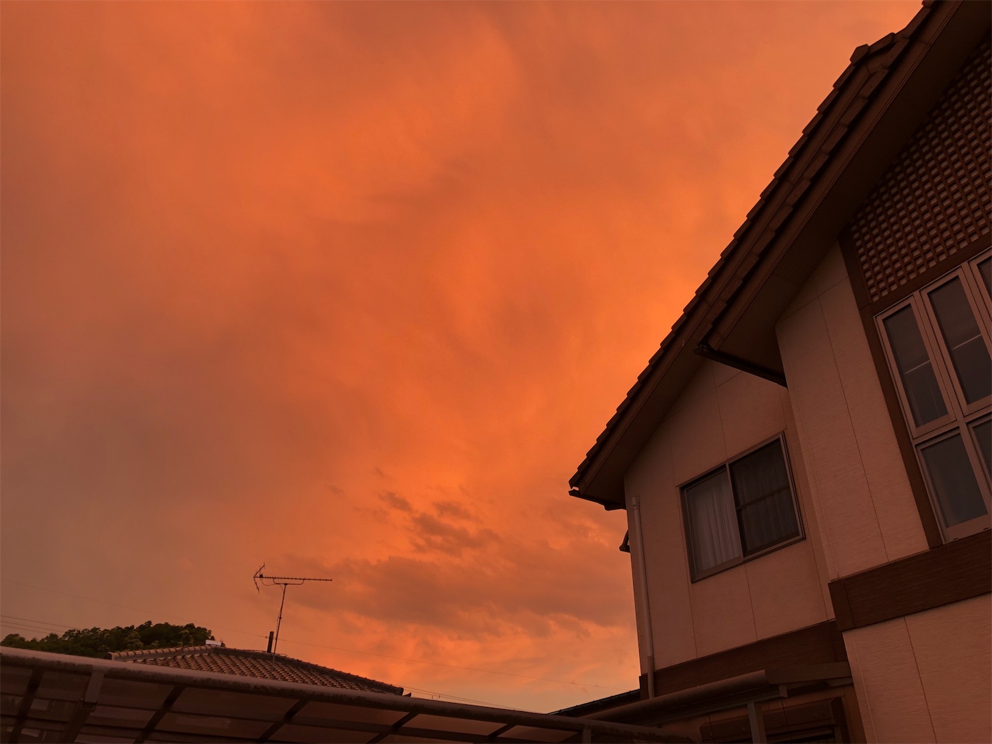 f:id:fujihirokun:20190524014803j:image f:id:fujihirokun:20190524014803j:image