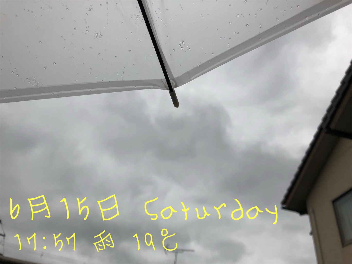 f:id:fujihirokun:20190615183913j:image f:id:fujihirokun:20190615183913j:image