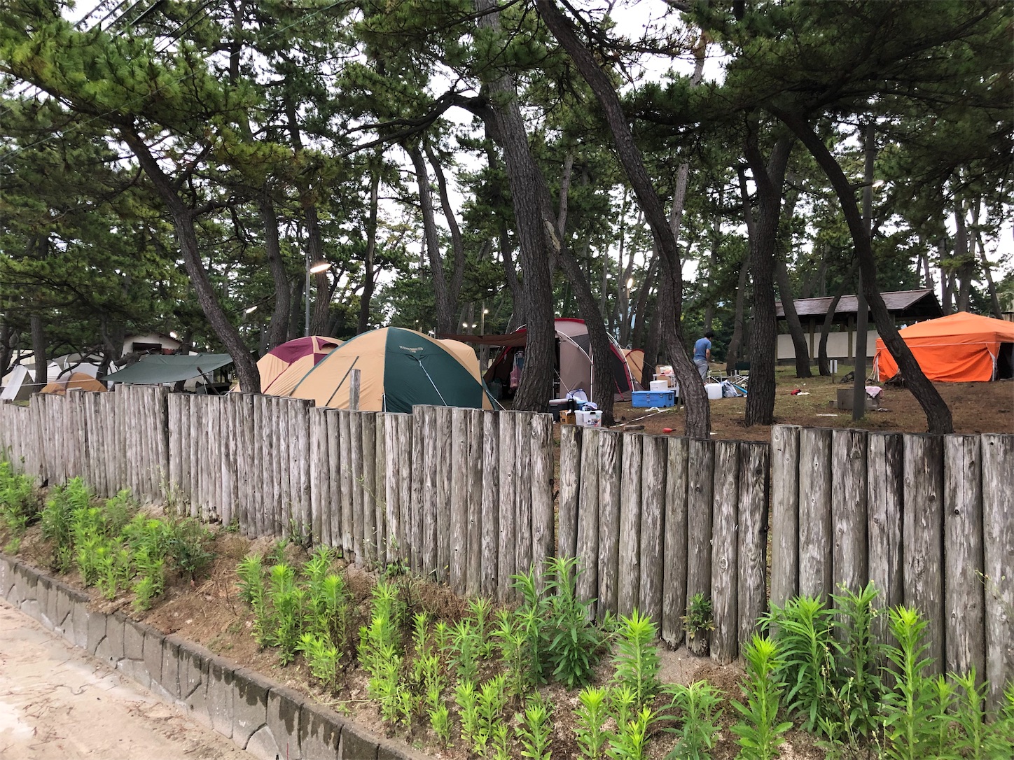 f:id:fujihirokun:20190710172935j:image f:id:fujihirokun:20190710172935j:image