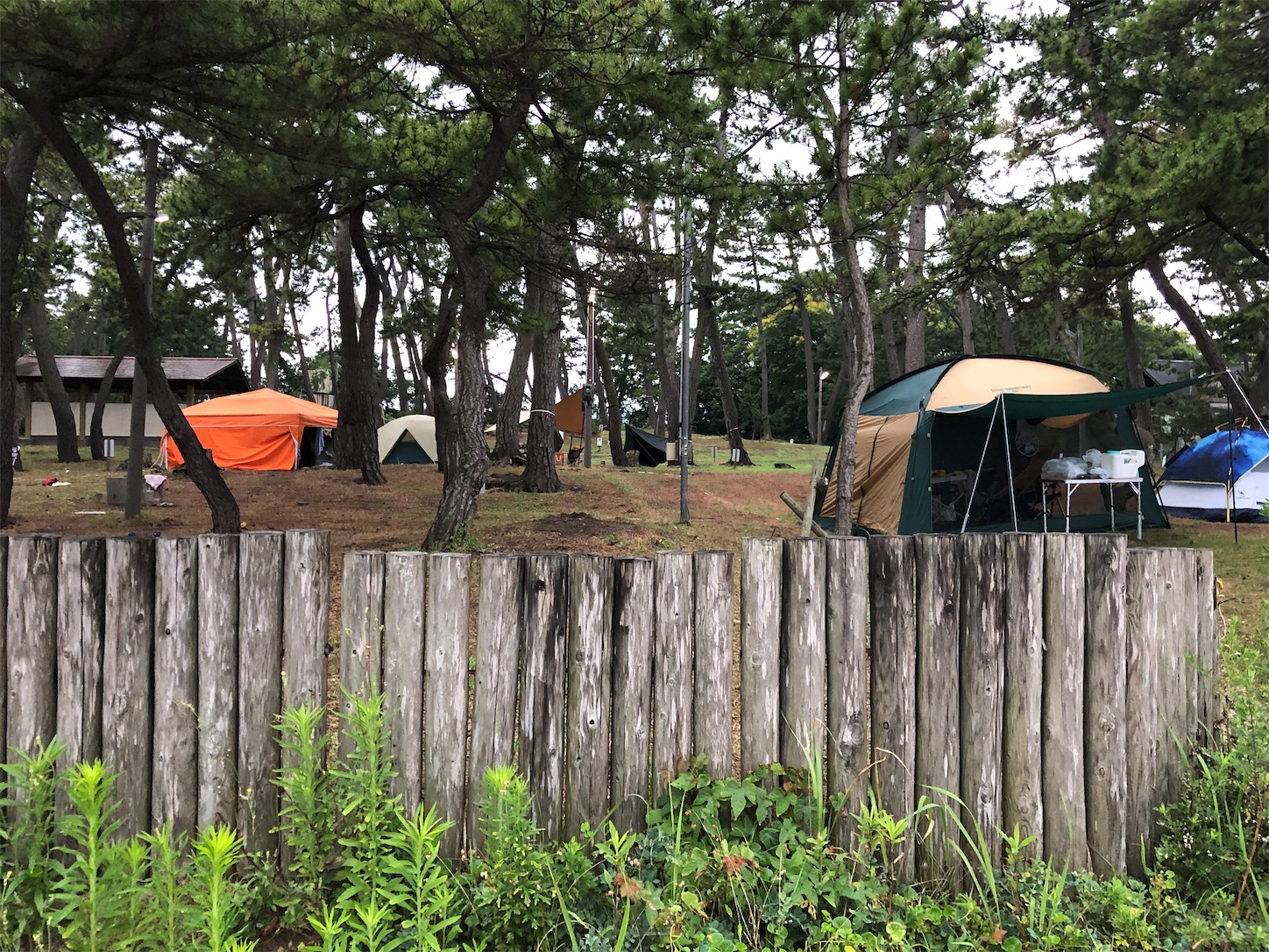 f:id:fujihirokun:20190710172940j:image f:id:fujihirokun:20190710172940j:image