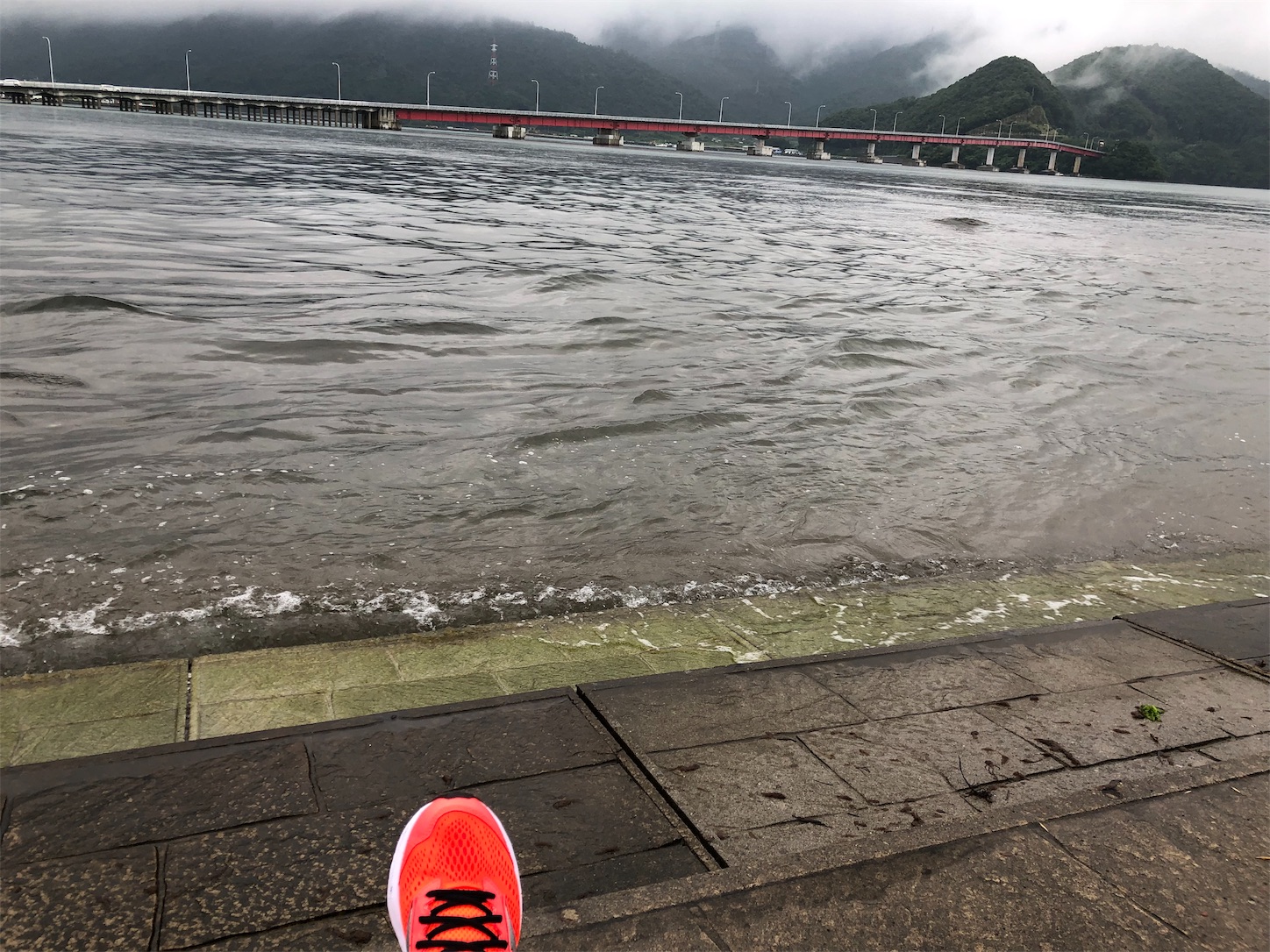 f:id:fujihirokun:20190710173651j:image f:id:fujihirokun:20190710173651j:image