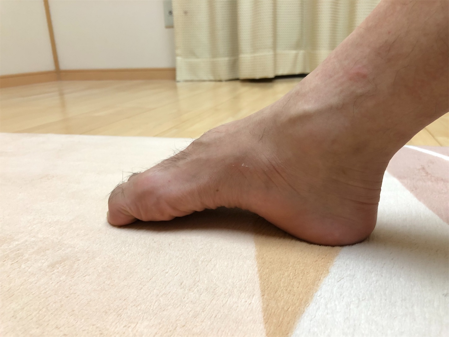 f:id:fujihirokun:20190806230456j:image f:id:fujihirokun:20190806230456j:image