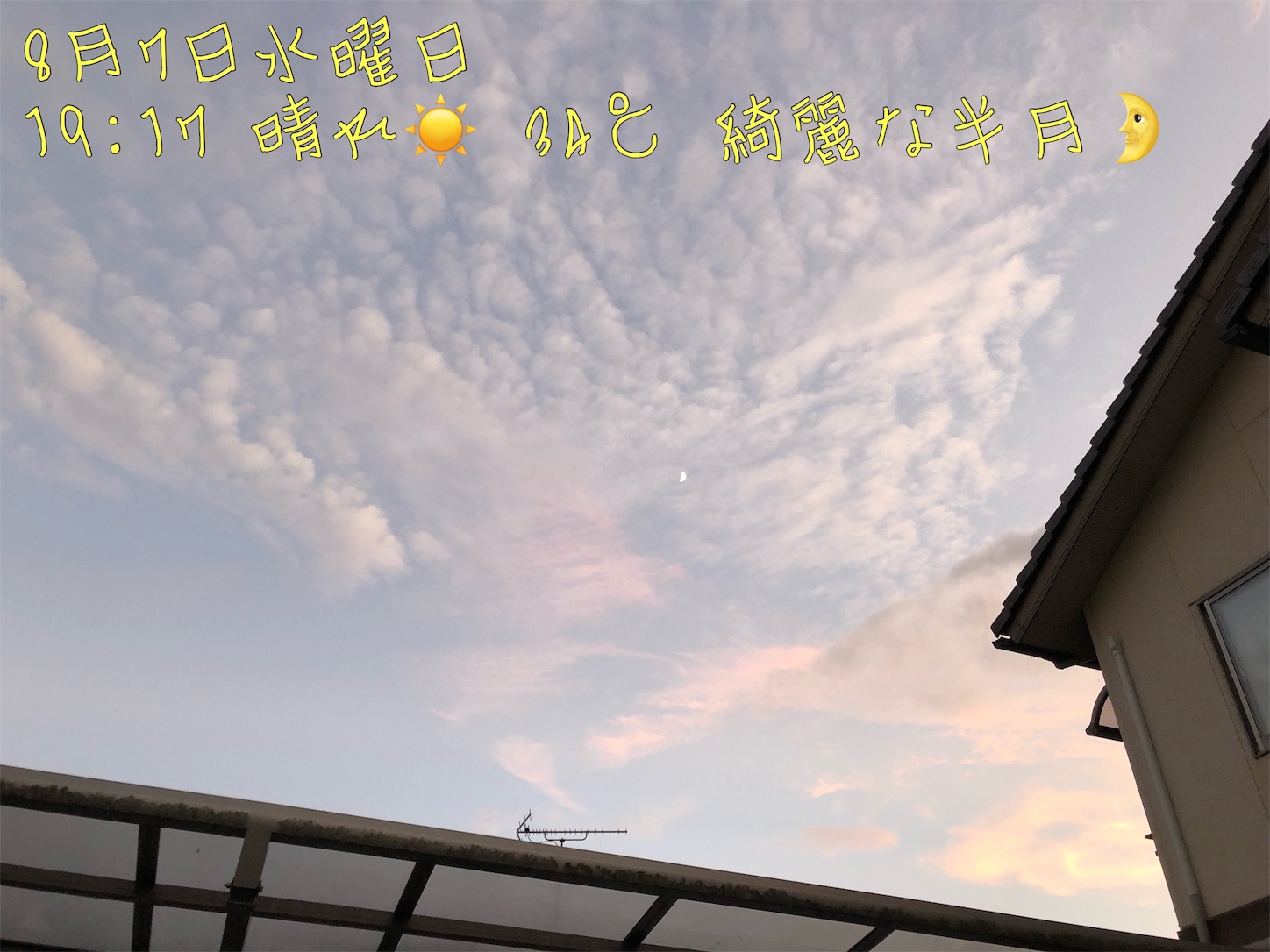 f:id:fujihirokun:20190807223054j:image f:id:fujihirokun:20190807223054j:image