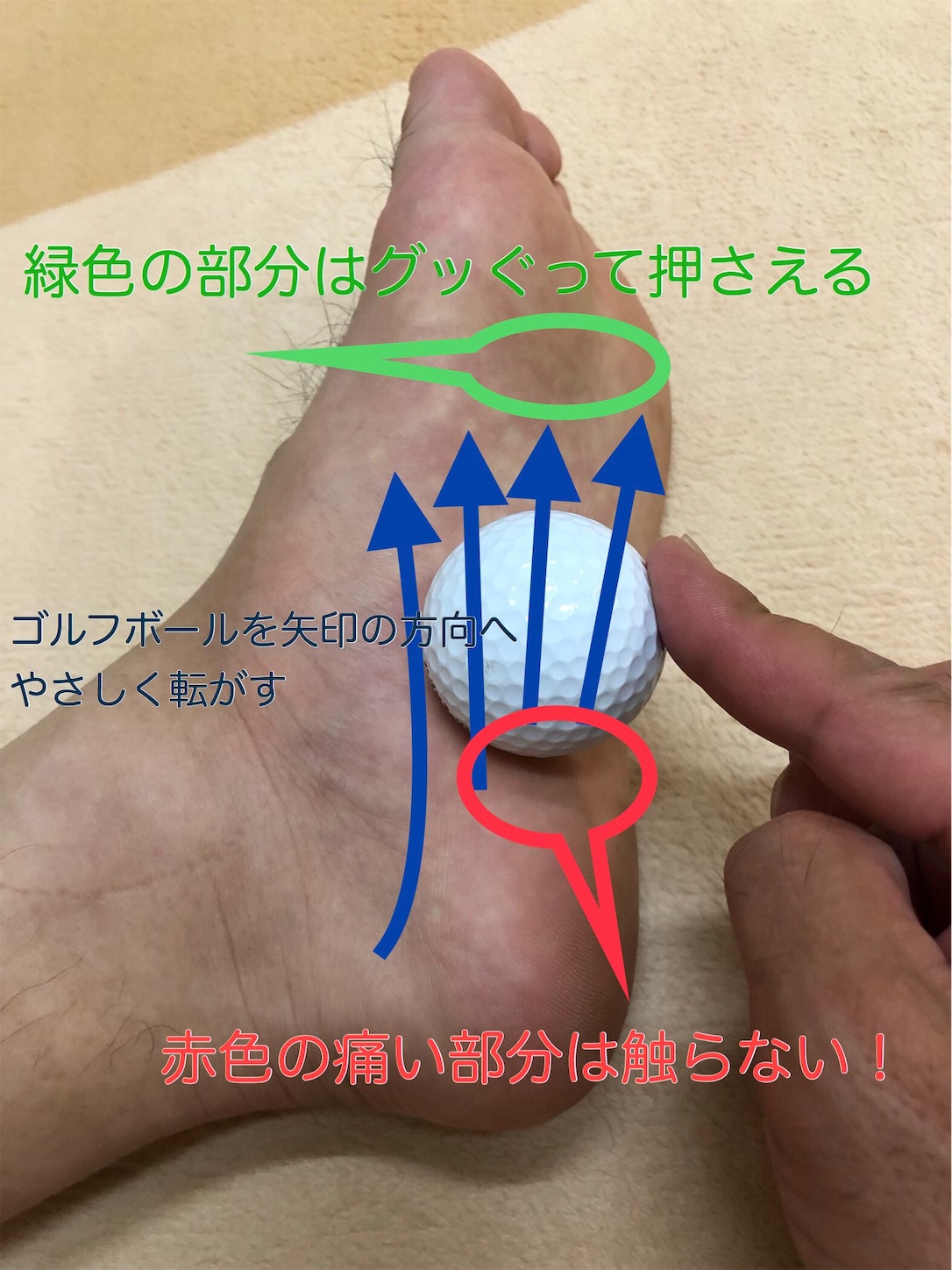 f:id:fujihirokun:20190807231409j:image f:id:fujihirokun:20190807231409j:image
