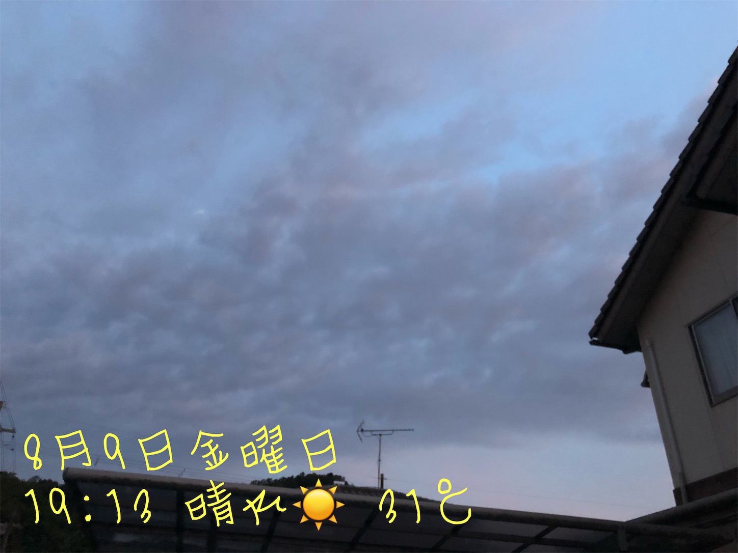 f:id:fujihirokun:20190810033744j:image f:id:fujihirokun:20190810033744j:image