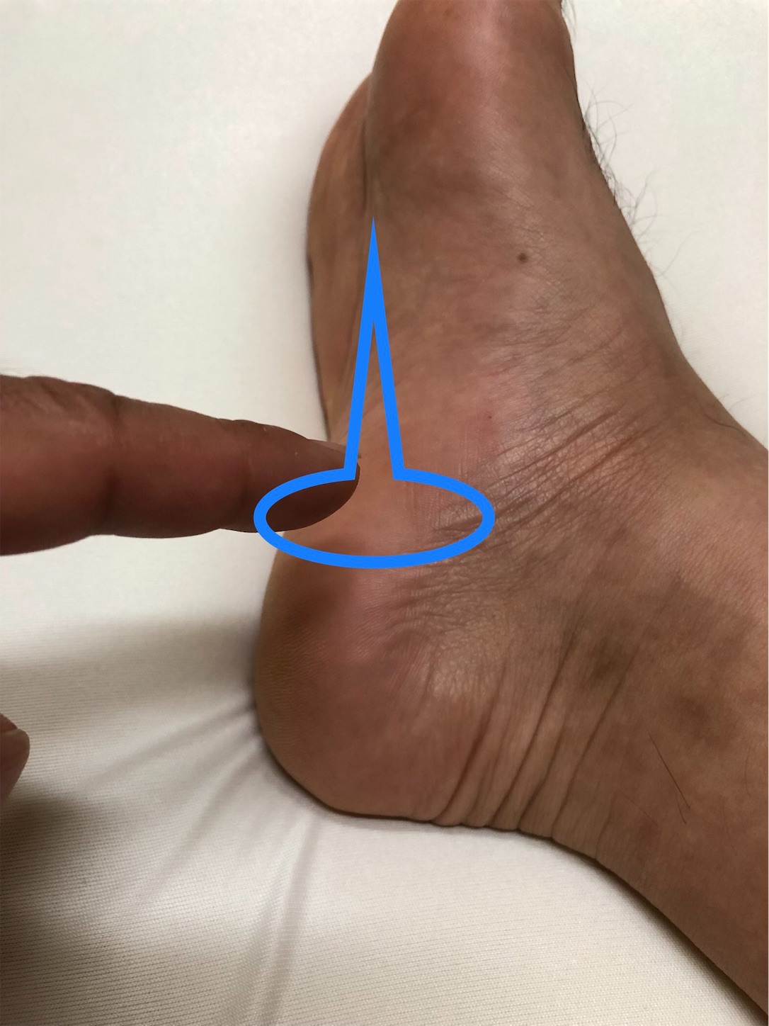 f:id:fujihirokun:20190817213848j:image f:id:fujihirokun:20190817213848j:image