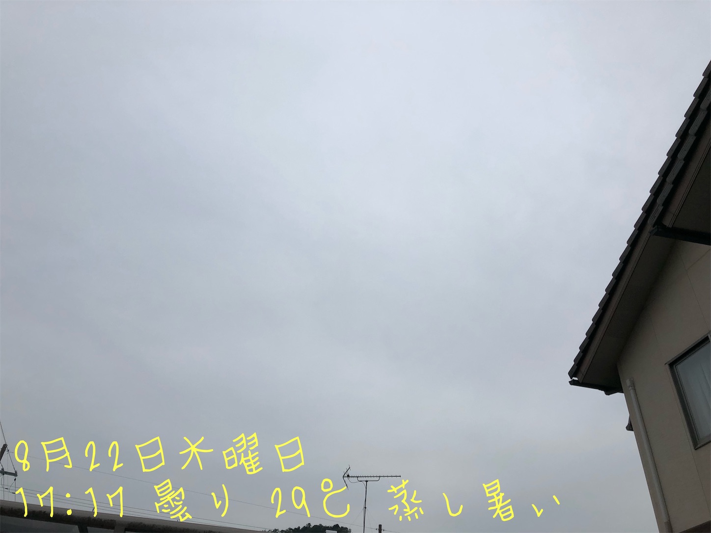 青竹踏みは効果があるのか 50才からどこまでいける
