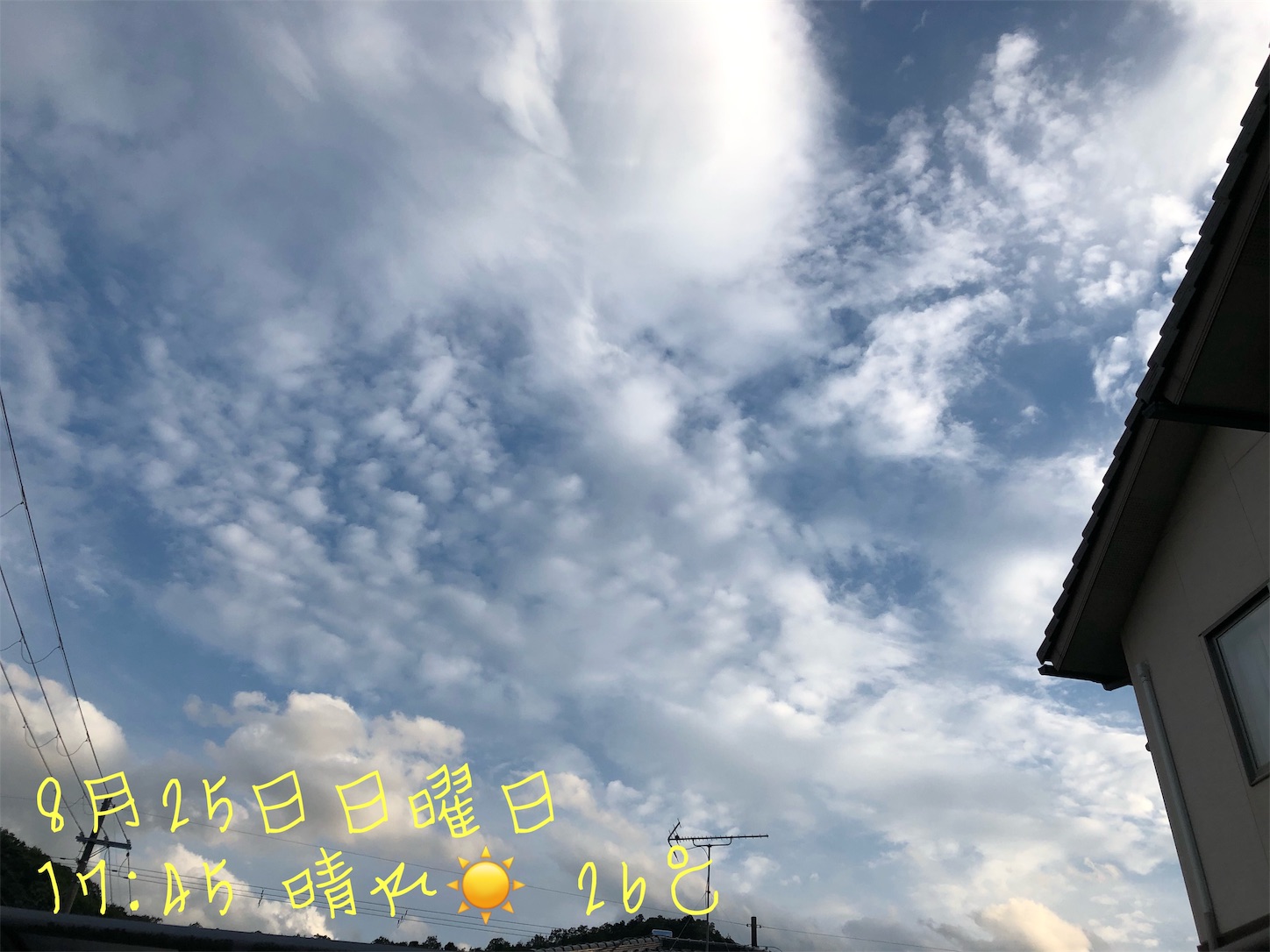 f:id:fujihirokun:20190825201346j:image f:id:fujihirokun:20190825201346j:image