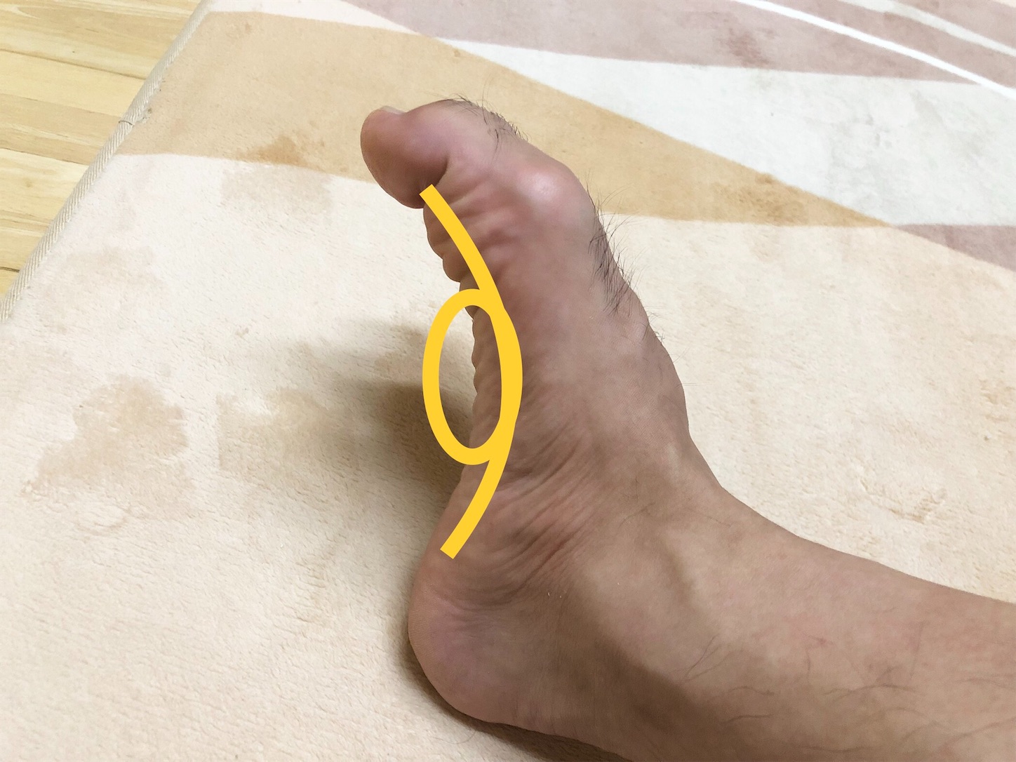 f:id:fujihirokun:20190903222922j:image f:id:fujihirokun:20190903222922j:image