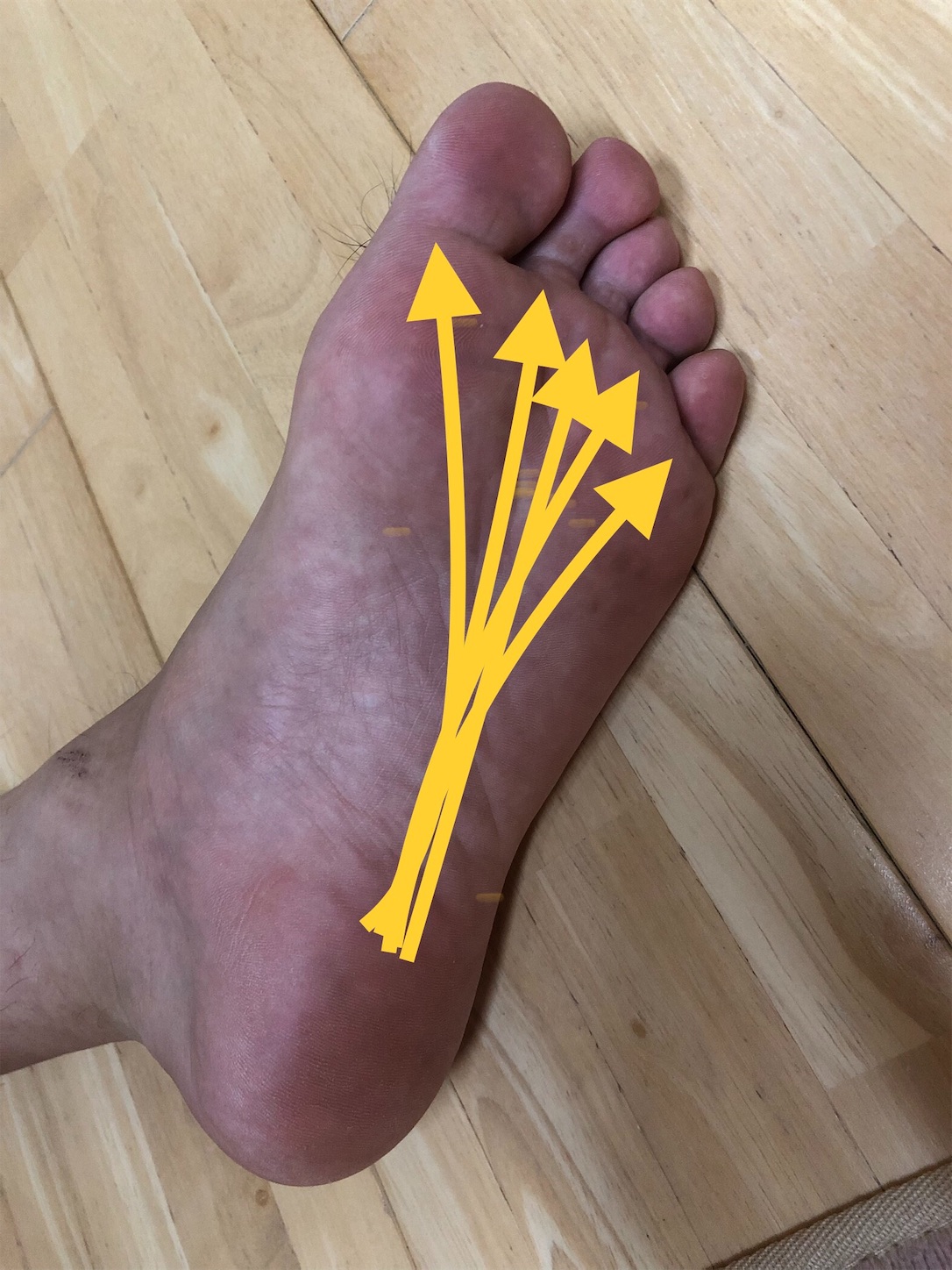 f:id:fujihirokun:20190909224454j:image f:id:fujihirokun:20190909224454j:image