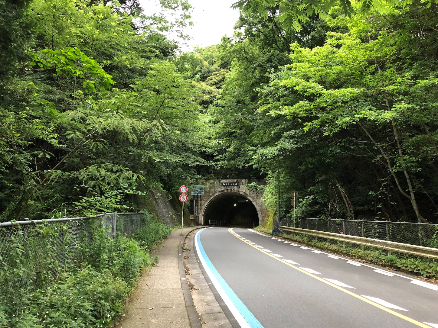 f:id:fujihirokun:20191012060617j:image f:id:fujihirokun:20191012060617j:image