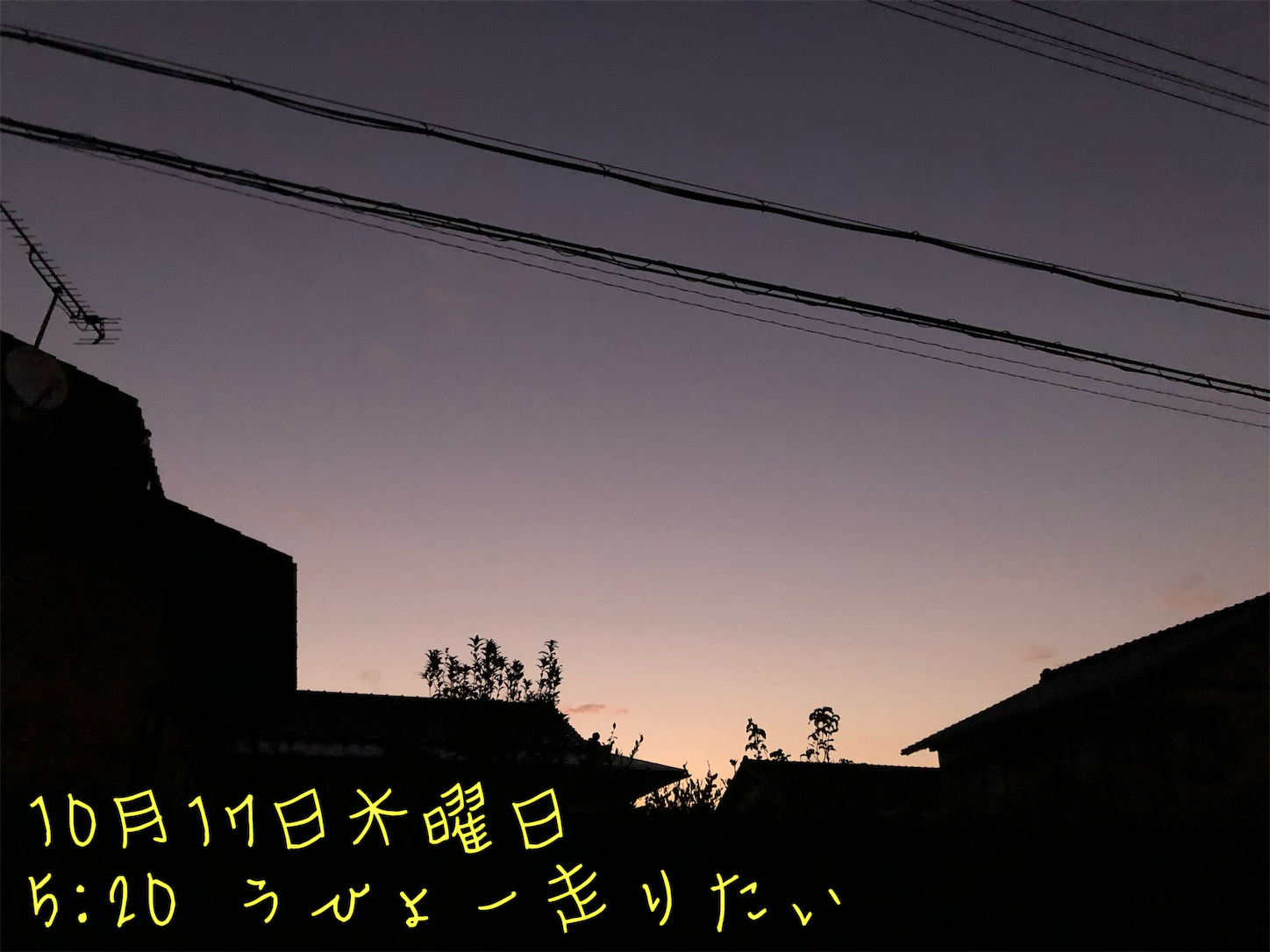 f:id:fujihirokun:20191017233929p:image