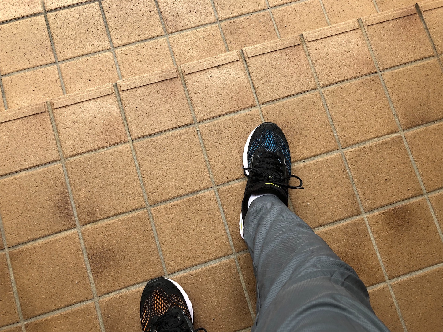 f:id:fujihirokun:20191027203124j:image f:id:fujihirokun:20191027203124j:image