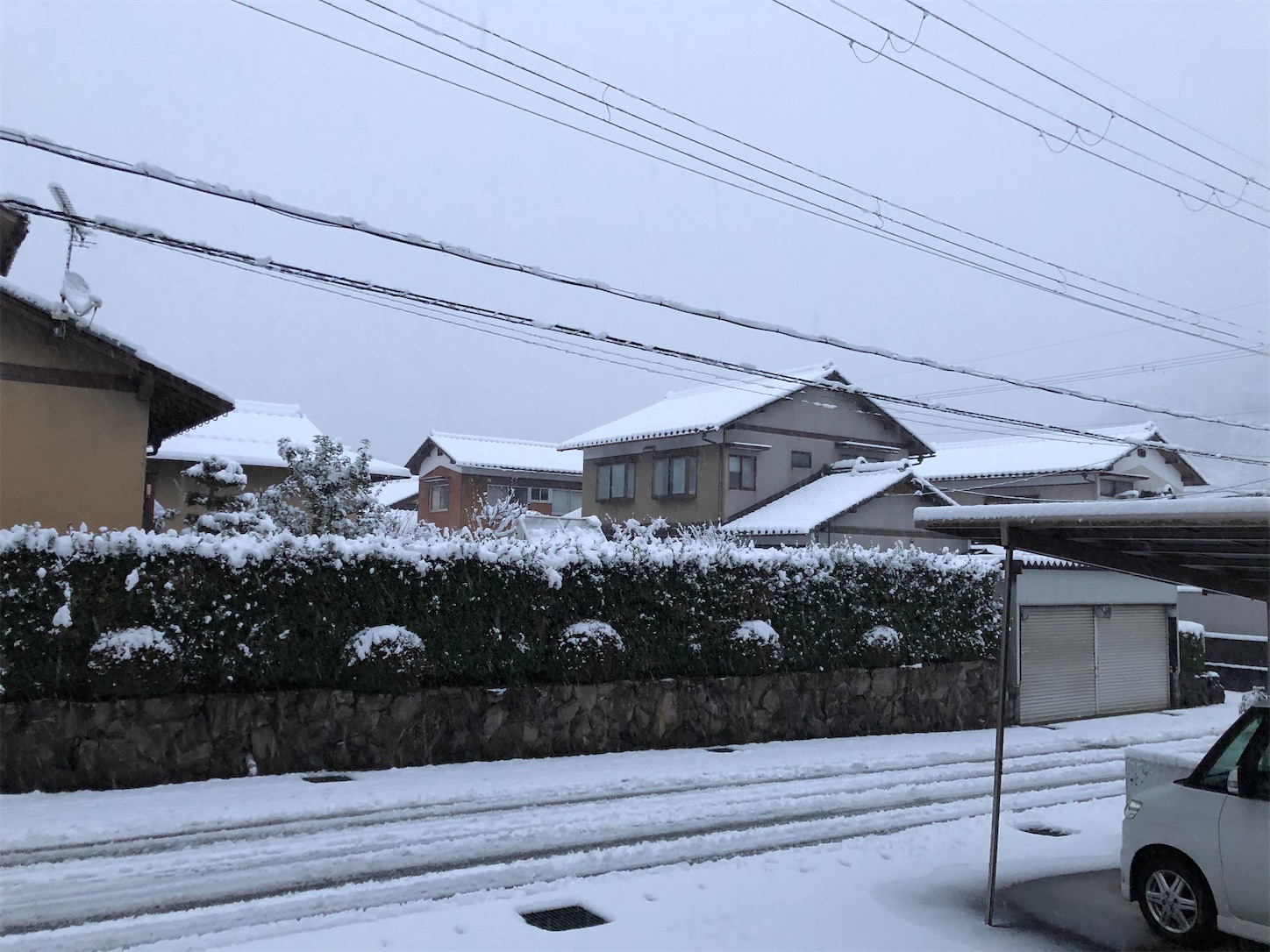 f:id:fujihirokun:20200219045017j:image