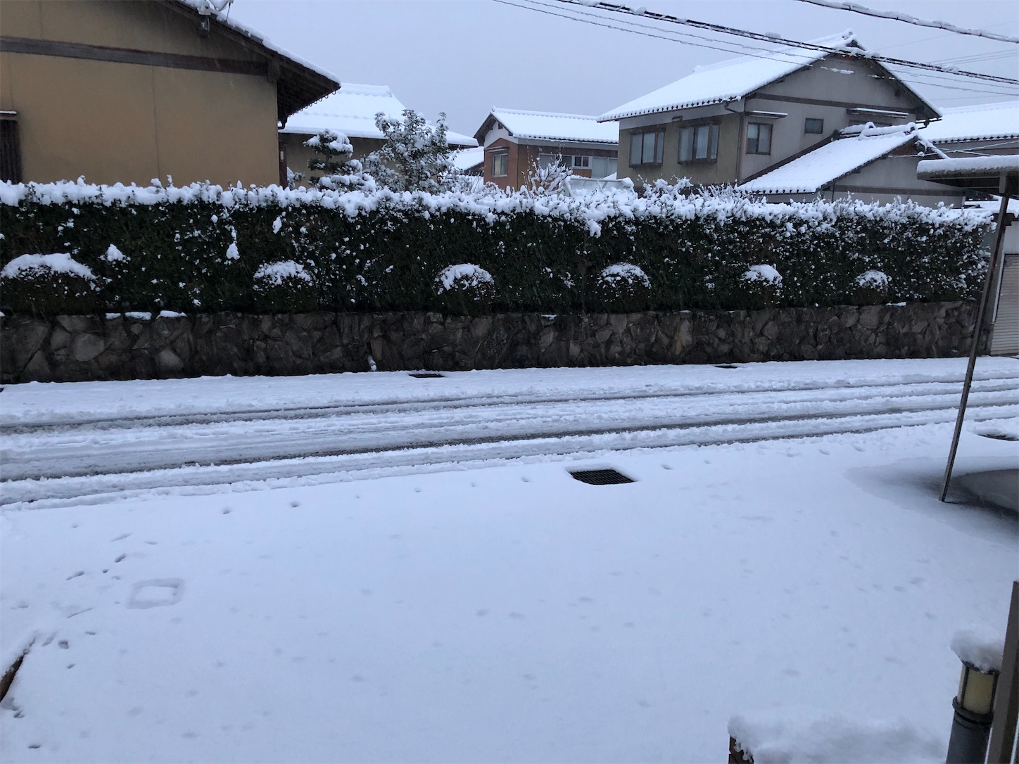 f:id:fujihirokun:20200219045022j:image